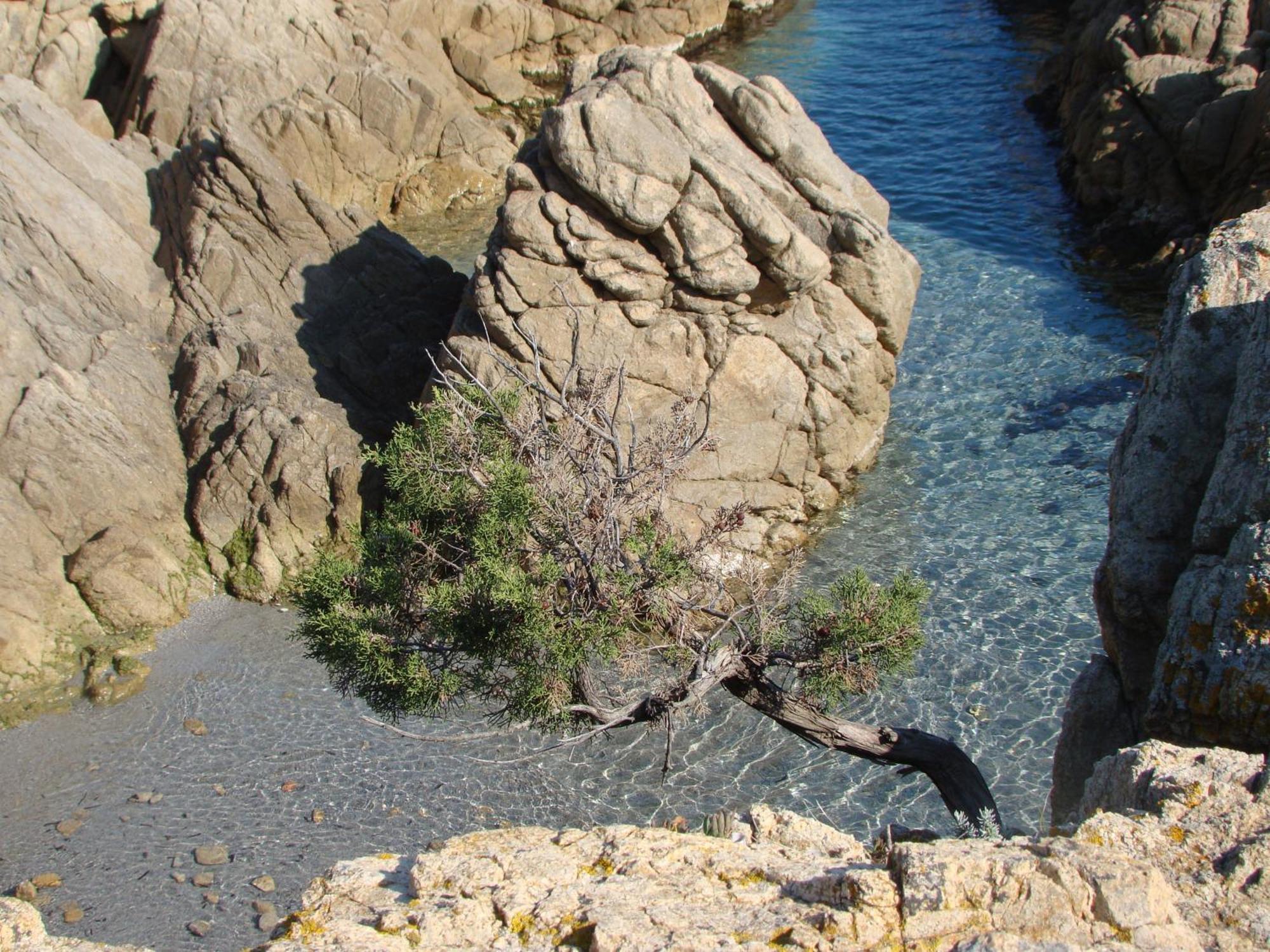 Hotel S'Ustiarvu- Nuova Gestione Cala Liberotto Exterior foto